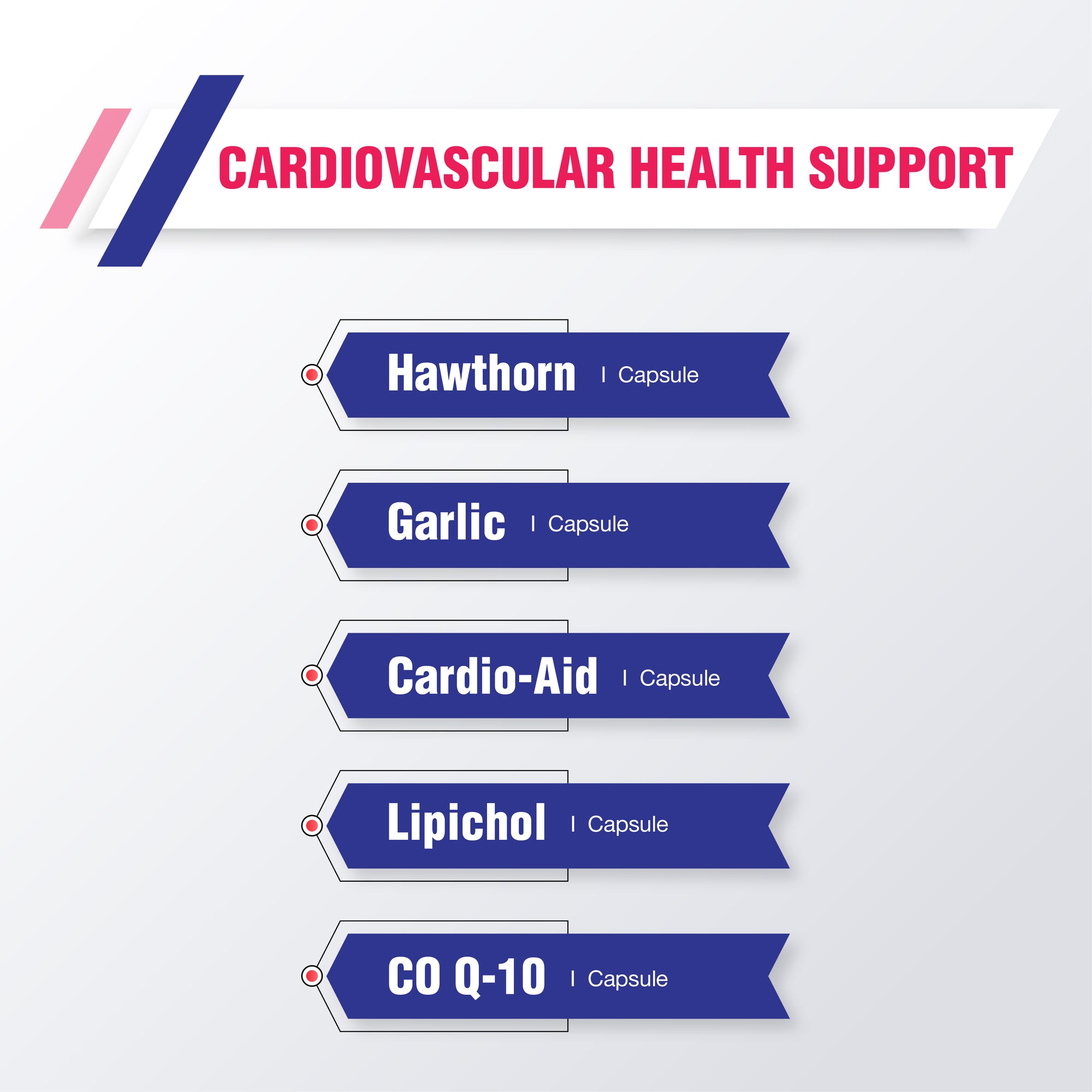cardiovascular health support